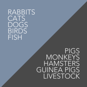List-of-animals